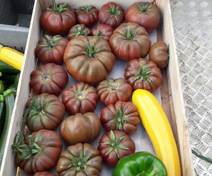 Vente produits locaux Meyssac