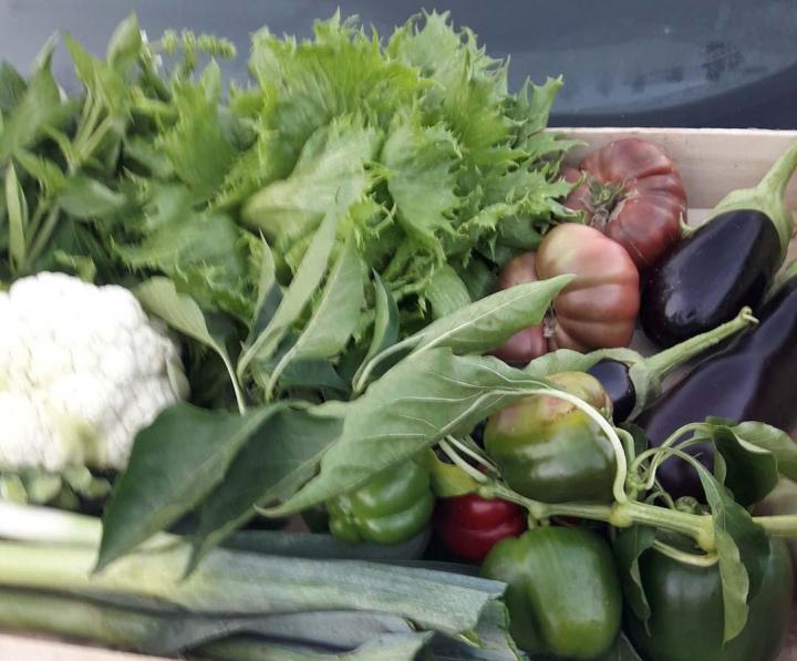 Produits locaux Meyssac