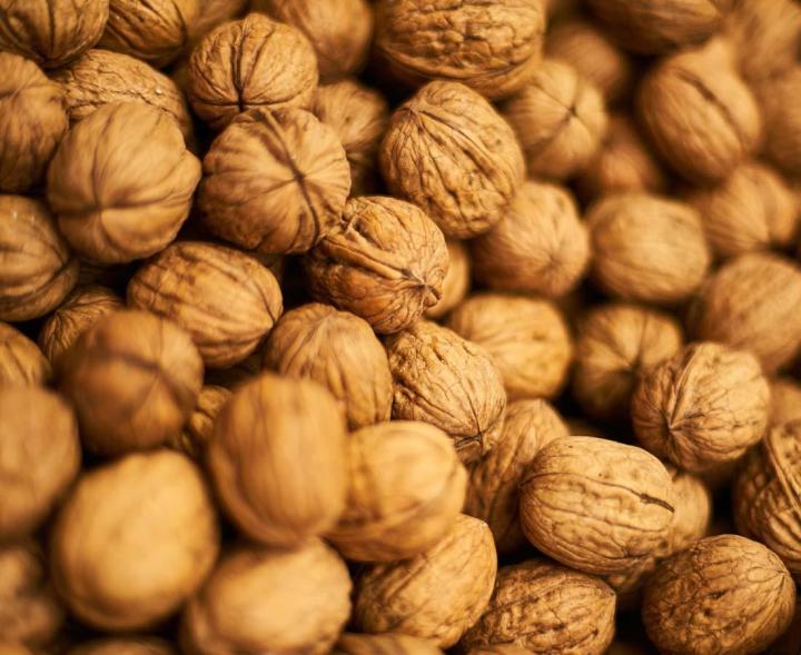 Production et vente de noix Meyssac
