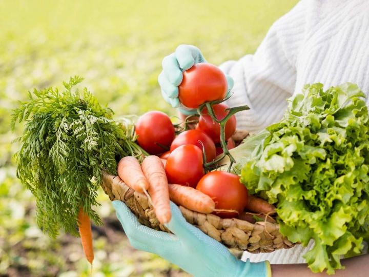 Achat de fruits et légumes Meyssac